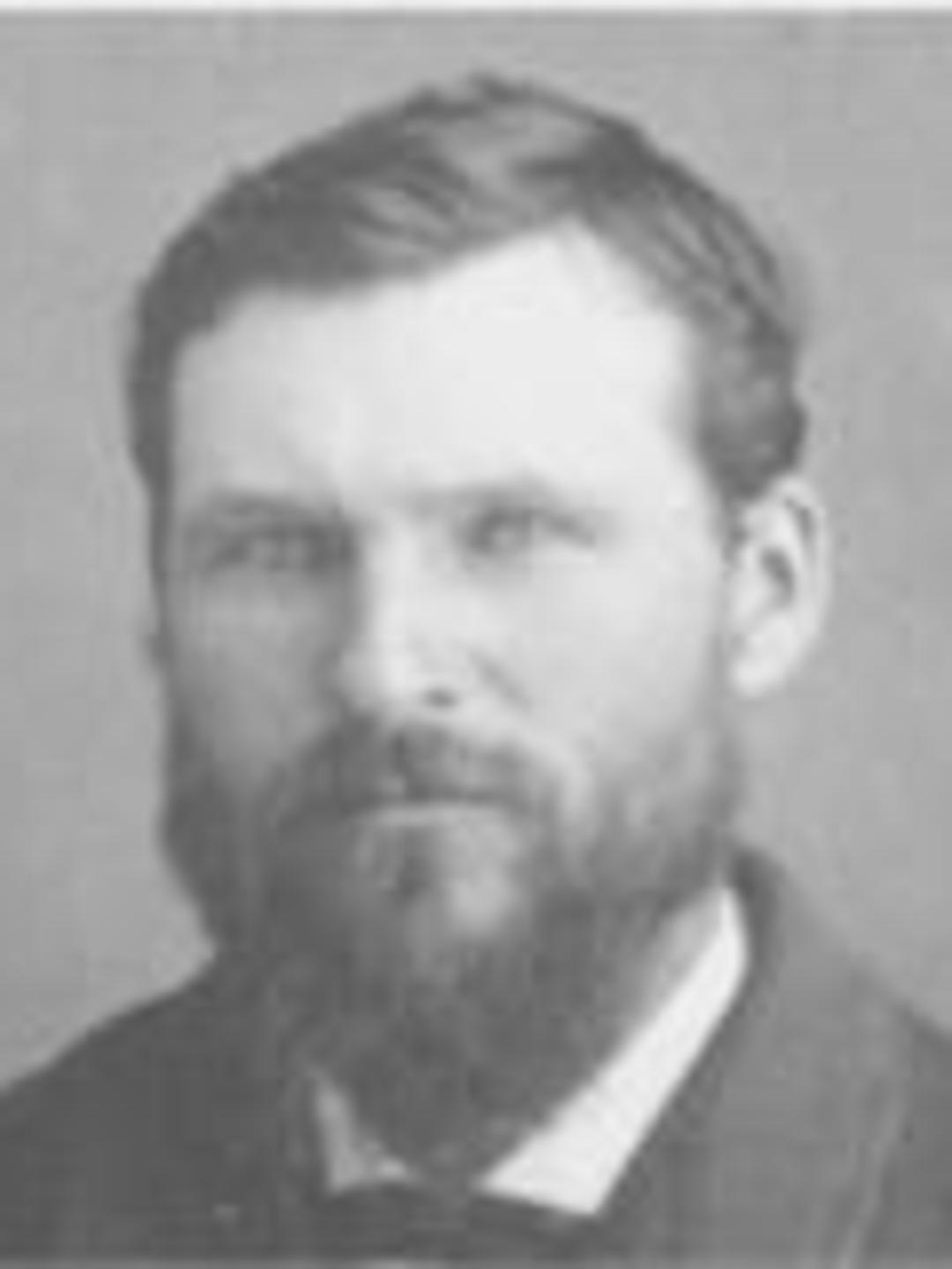 Samuel Allen Wilcox Jr. (1850 - 1908) Profile